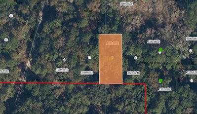 205 SIESTA Drive, Georgetown, FL, 32139 — photo 2