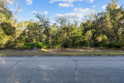 TBD 174 Place, Ocala, FL, 34473 — photo 2