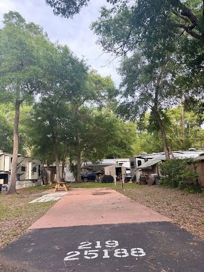 25188 142ND Place, Fort Mc Coy, FL, 32134 — photo 2