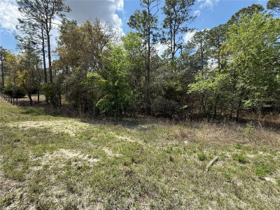 TBD 150TH Avenue, Morriston, FL, 32668 — photo 2