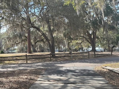 25287 139TH Lane, Salt Springs, FL, 32134 — photo 2