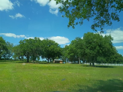 Lot #7 66TH Place, Morriston, FL, 32668 — photo 2