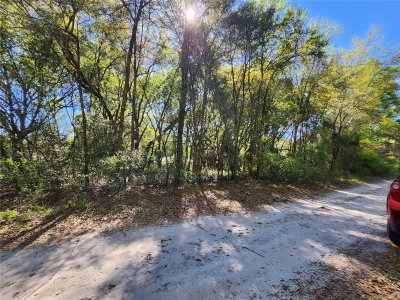 TBD 36TH Court, Summerfield, FL, 34491 — photo 2