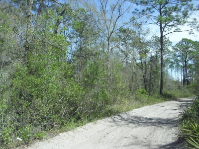 Tract 418 158TH Lane, Dunnellon, FL, 34432 — photo 2