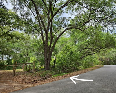 LOT 14 LOCUST RUN COURSE, Ocala, FL, 34472 — photo 2