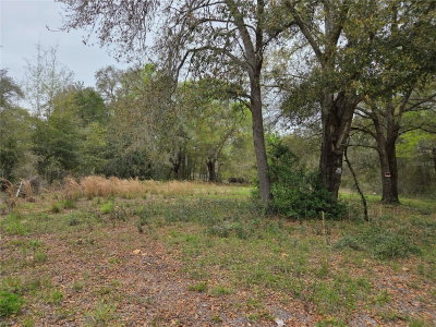5870 139TH Avenue, Williston, FL, 32696 — photo 2