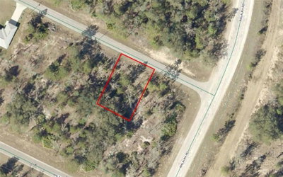 TBD MALAUKA Drive, Ocklawaha, FL, 32179 — photo 2