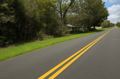 RAINBOW LAKES Boulevard, Dunnellon, FL, 34431 — photo 2