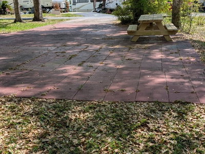 25215 142ND Street, Salt Springs, FL, 32134 — photo 2