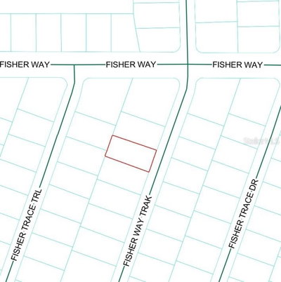 Lot 22 FISHER WAY Track, Ocklawaha, FL, 32179 — photo 2