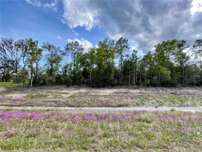 TBD HIGHWAY 27 ALT, Williston, FL, 32696 — photo 2