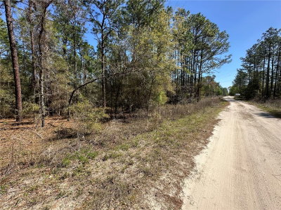 TBD 29TH Street, Ocala, FL, 34473 — photo 2