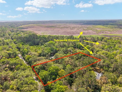 227 TUSCAWILLA Road, Micanopy, FL, 32667 — photo 2