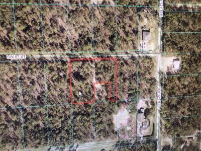 87 Street, Dunnellon, FL, 34432 — photo 2