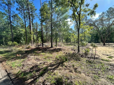 4 157TH Avenue, Ocala, FL, 34481 — photo 2