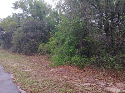 7851 VINCE Drive, Citrus Springs, FL, 34434 — photo 2