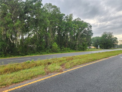 00 HWY 484, Summerfield, FL, 34491 — photo 2