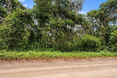 TBD 52ND Court, Anthony, FL, 32617 — photo 2