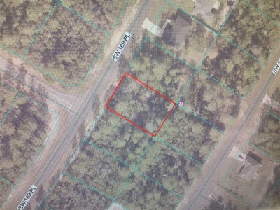 169 Place, Ocala, FL, 34473 — photo 2