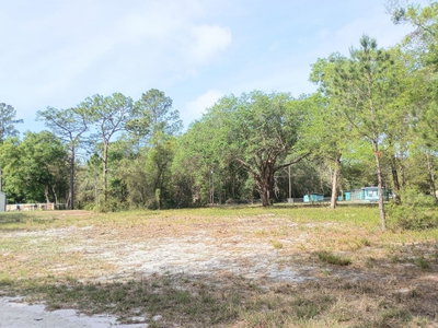 NE 141ST CT, Fort Mc Coy, FL, 32134 — photo 2