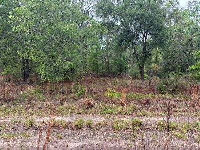 0000 19TH Place, Ocala, FL, 34481 — photo 2