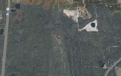 TBD COUNTY ROAD, Oak Hill, FL, 32759 — photo 2