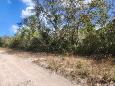 TBD 236 Lane, Orange Springs, FL, 32182 — photo 2