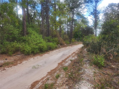 7446 151ST Place, Dunnellon, FL, 34432 — photo 2