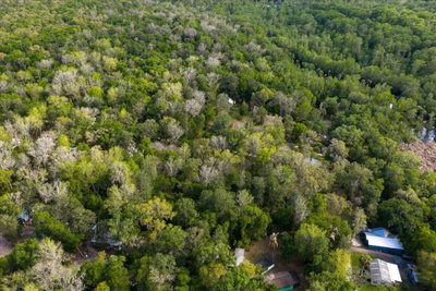 TBD NE 189TH Street, Fort Mc Coy, FL, 32134 — photo 2