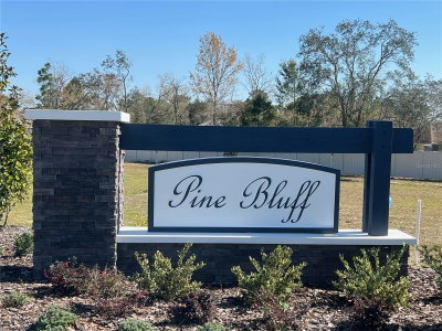 12440 LANGLEY Drive, Spring Hill, FL, 34609 — photo 2