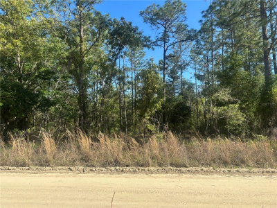 0000 8TH Place, Ocala, FL, 34481 — photo 2