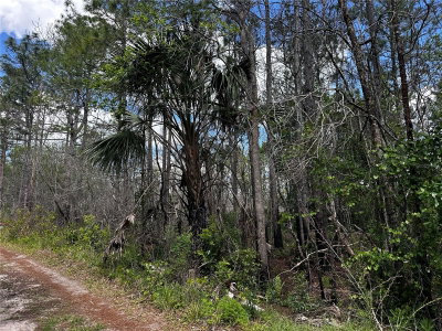 00 KOLA Road, New Smyrna Beach, FL, 32168 — photo 2