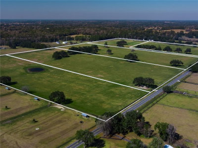 TBD GAINESVILLE Road, Reddick, FL, 32686 — photo 2