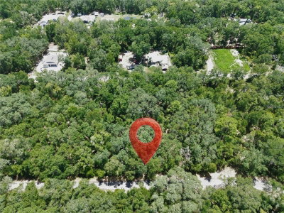 TBD FISHER LANE Drive, Ocklawaha, FL, 32179 — photo 2