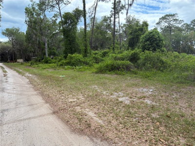 00 87 Street, Ocklawaha, FL, 32179 — photo 2