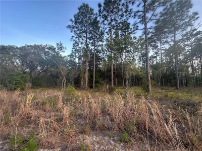LOT 3 AMBERJACK AVE., Dunnellon, FL, 34431 — photo 2