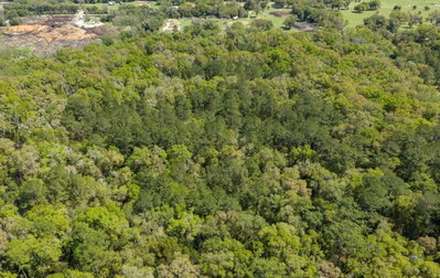 38TH AVENUE Road, Ocala, FL, 34482 — photo 2
