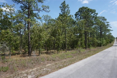 TBD TREE TOP Road, Dunnellon, FL, 34431 — photo 2