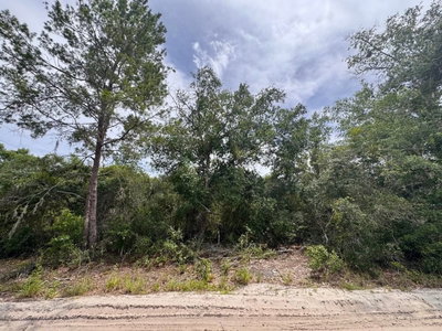306TH Terrace, Salt Springs, FL, 32134 — photo 2