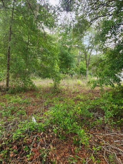 00 MARION OAKS PASS, Ocala, FL, 34473 — photo 2