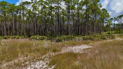 KEY DEER CT,, Perry, FL, 32348 — photo 2