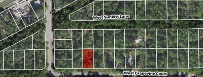 2949 GRAPEVINE Court, Dunnellon, FL, 34433 — photo 2