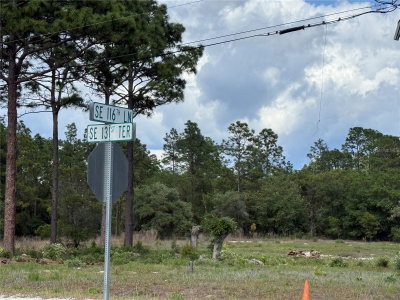 00 116TH Lane, Dunnellon, FL, 34431 — photo 2