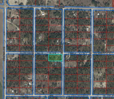 14250 2ND Street, Williston, FL, 32696 — photo 2