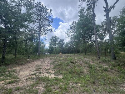 TBD 16TH Place, Williston, FL, 32696 — photo 2