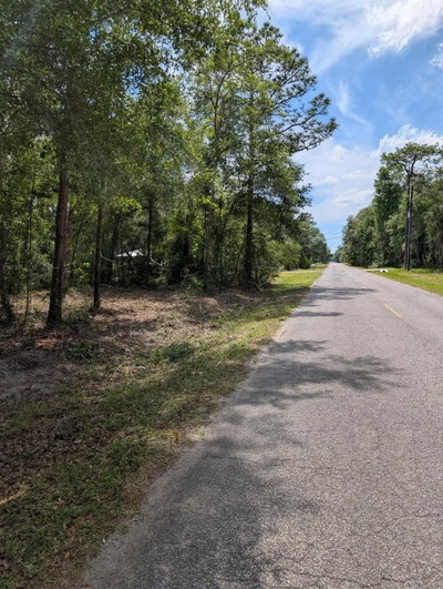220TH Street, Fort Mc Coy, FL, 32134 — photo 2