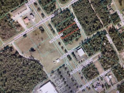 MARION OAKS Boulevard, Ocala, FL, 34473 — photo 2