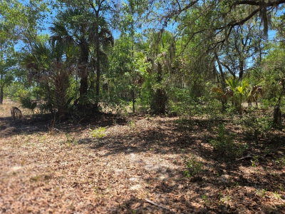 11837 CAPTIVA Terrace, Dunnellon, FL, 34433 — photo 2