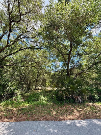 Lot 15 SHOREWOOD Drive, Dunnellon, FL, 34431 — photo 2