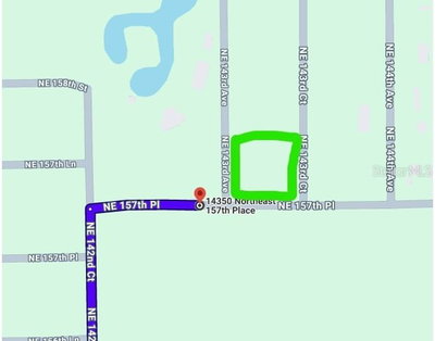 157 Place, Fort Mc Coy, FL, 32134 — photo 2